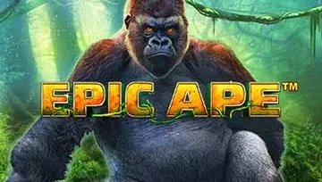 Comparaison des machines à sous : Epic Ape vs. autres classiques à Canada